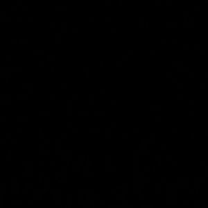 Meet your Posher, Deandre